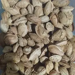 بادام 500 گرمی از قزوین