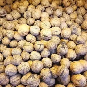 گردو 1 کیلوگرمی از کرمان