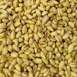 پسته نمکی 1 کیلوگرمی از دامغان