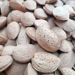 بادام 1 کیلوگرمی از بانه